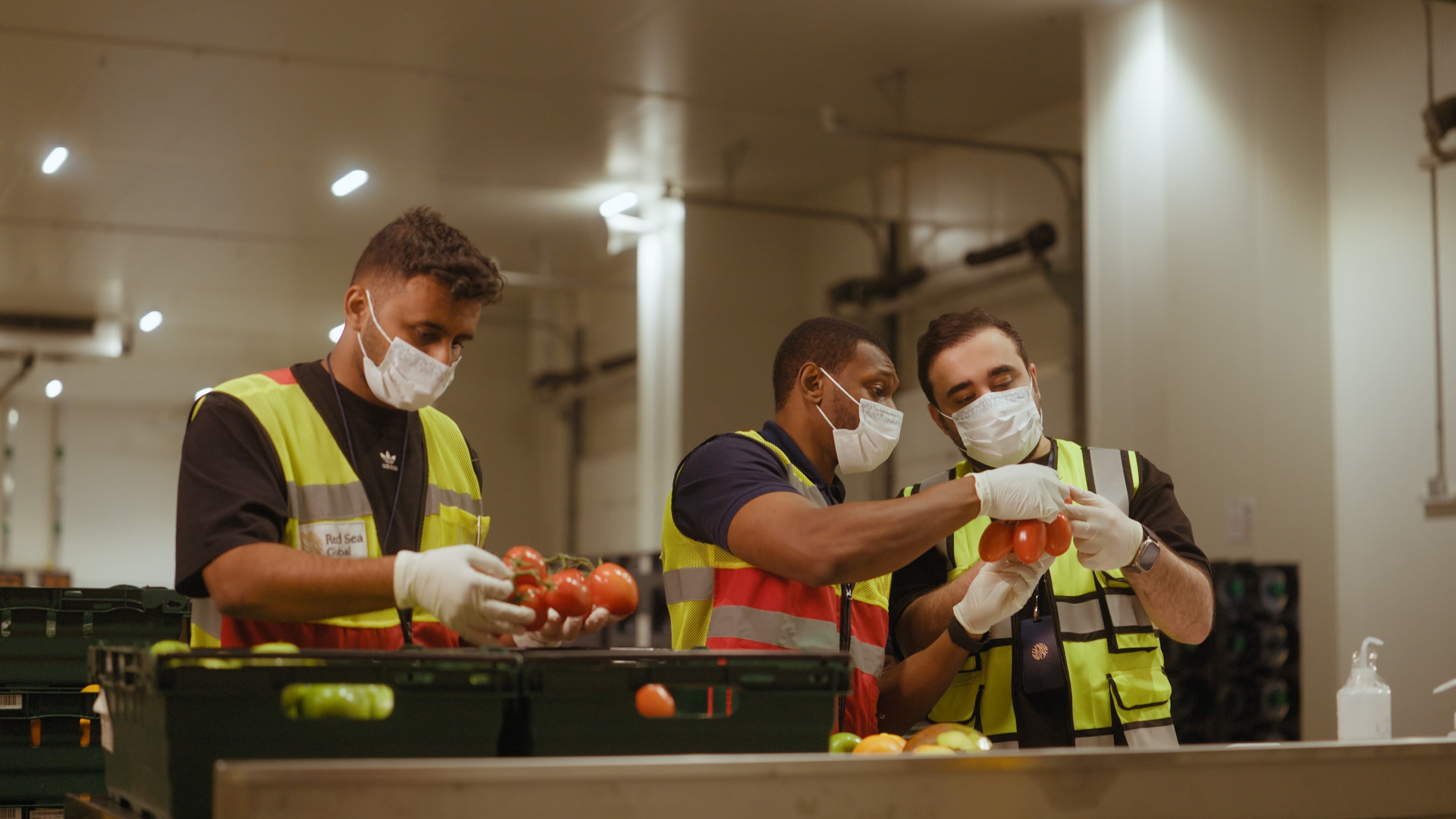 At the Central Distribution Center, RSG teams verify temperature, packaging and freshness to meet world class hospitality standards.